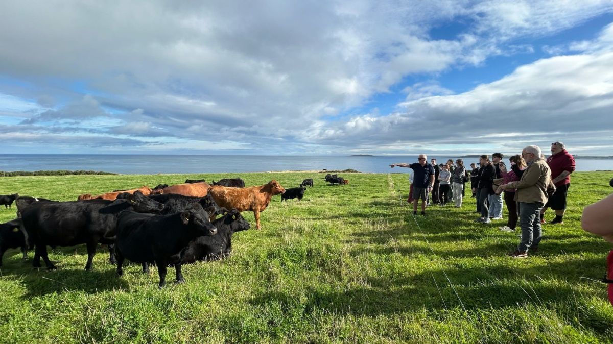 Students at Ballyboley Farm in field with Dexter cows