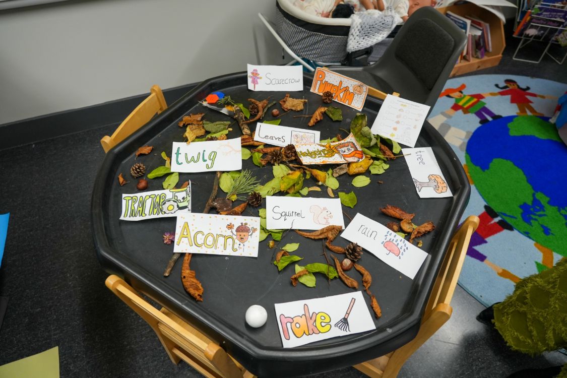 Picture of an early years sustainability project