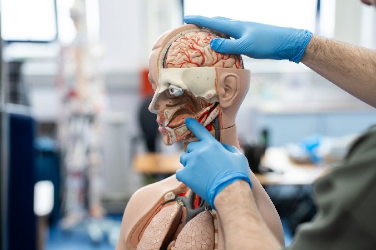 Foundations in Biology 