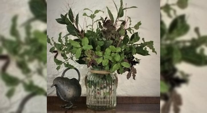 indoor winter foliage