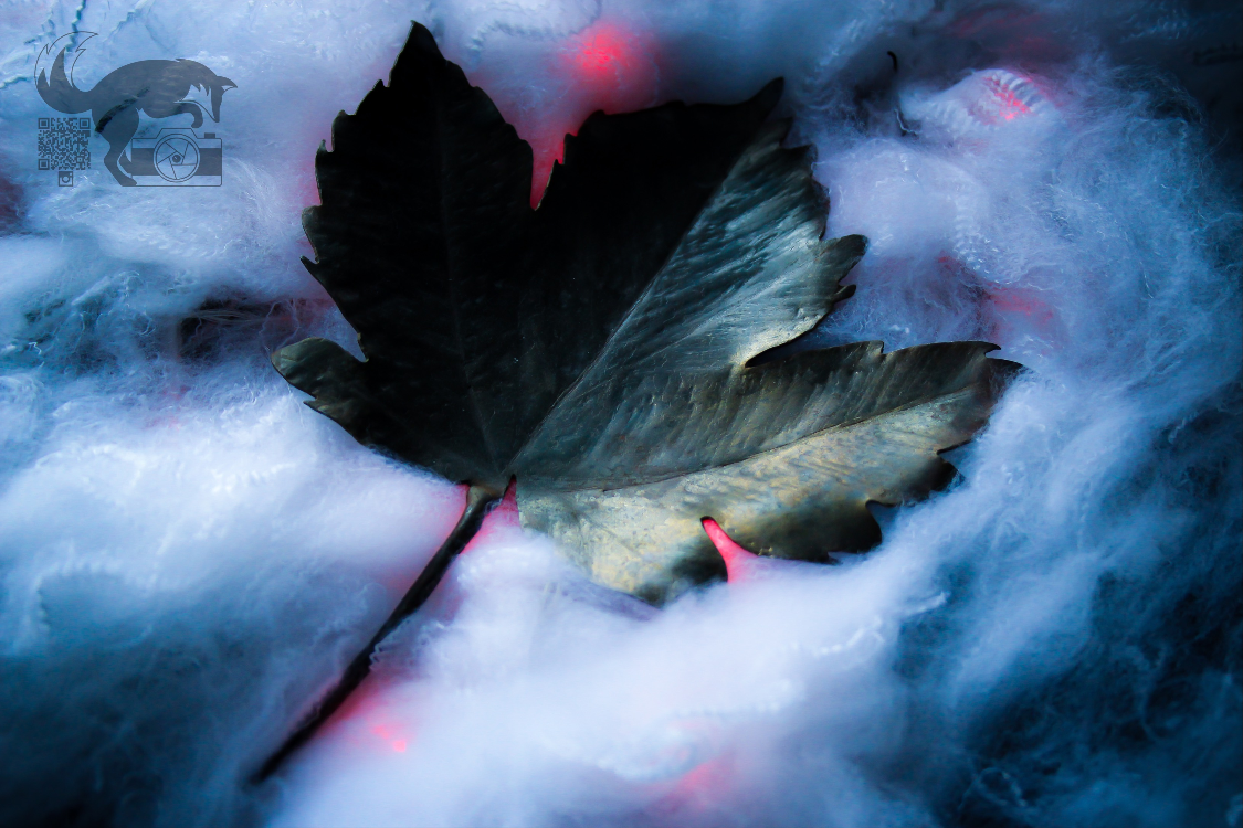 Fox's Fire Forge Image