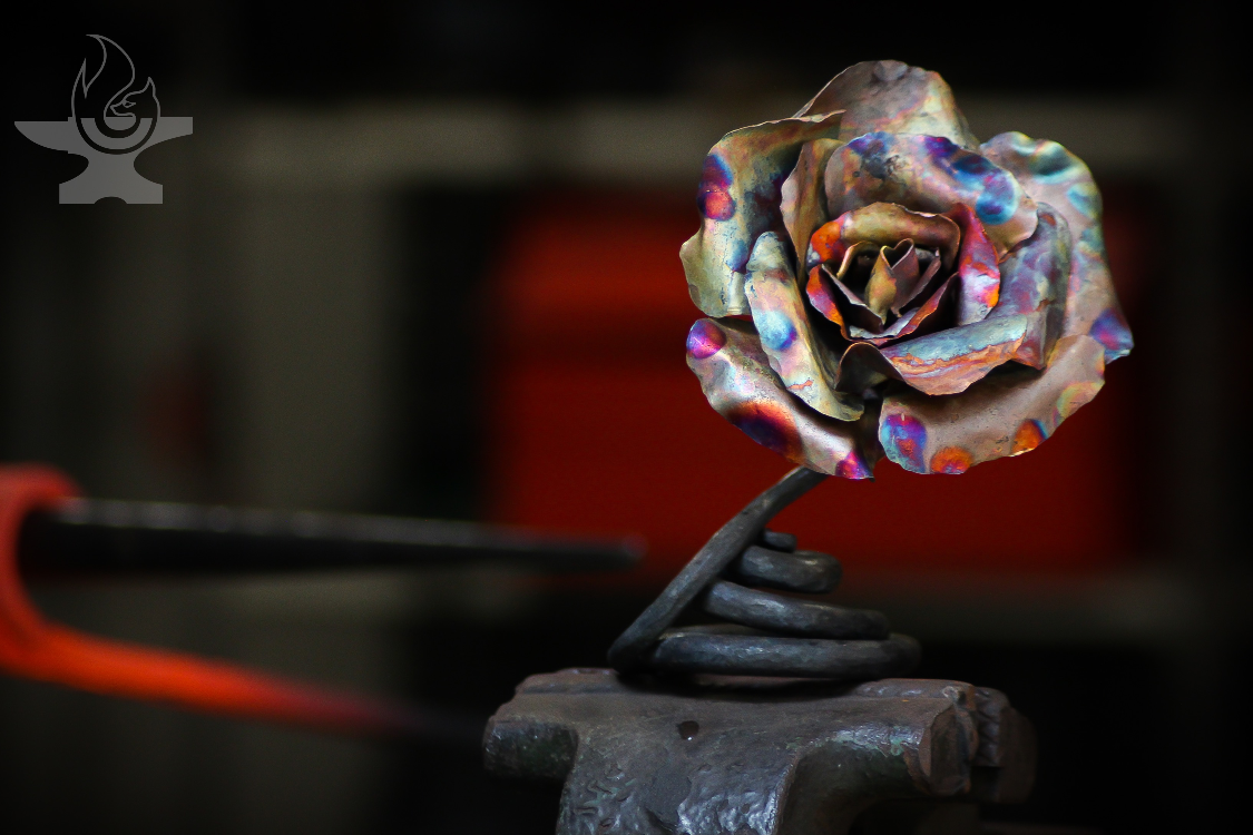 Roaming Foxography  Image